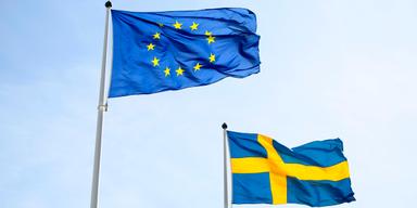 EU:s och Sveriges flagga. Två opinionsundersökningar inför EU-valet visar att klimatet och invandring är två viktiga frågor för väljarna