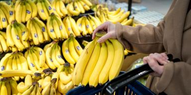 Kokain och narkotika smugglas bland bananer