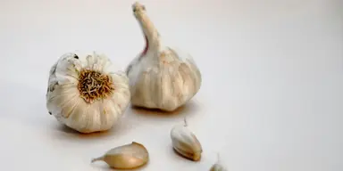 Mer vitlök, bättre doft, säger forskarna.