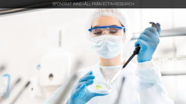 Ectin Research