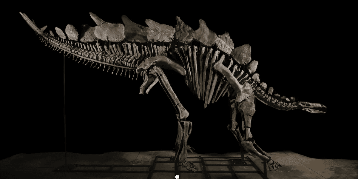 En dinosaurie fossil gick på auktion som Ken Griffin köpte för rekordsumma.