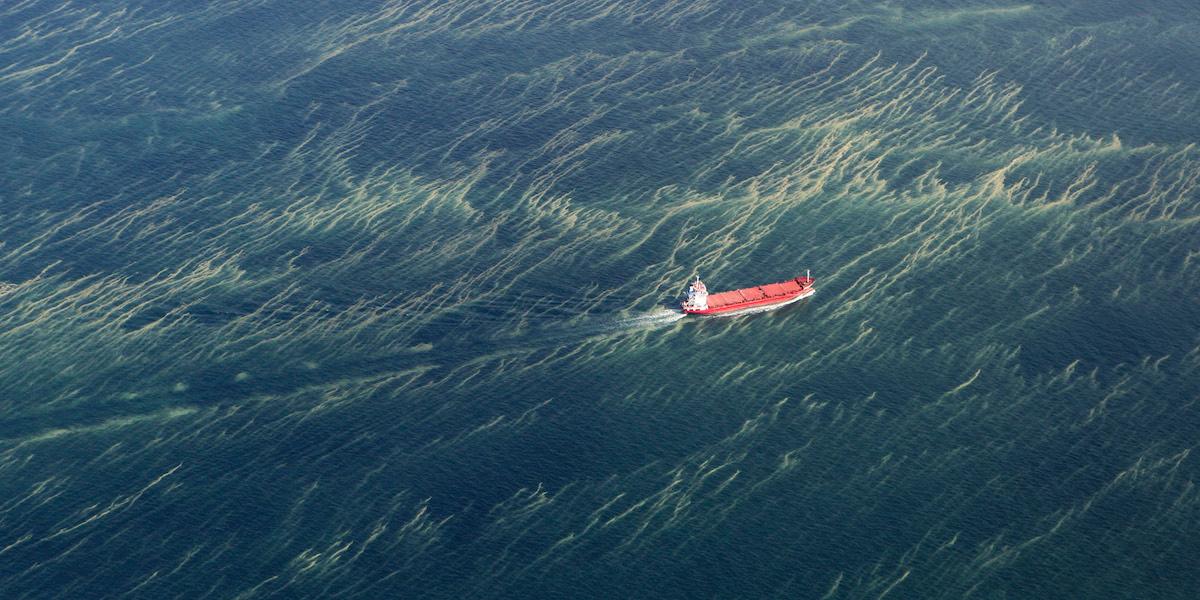 Bild på algblomning i Östersjön.