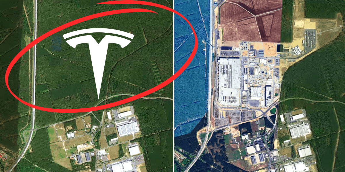 Tesla gör plats för fabrik i Berlin. Då ryker skogen. (Foto: Google Earth)