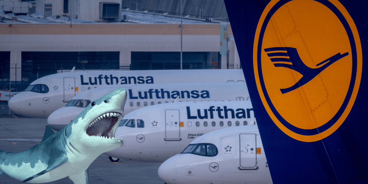 Lufthansa jobbar med hajliknande material på deras flyg. Det har visat sig vara en succé för miljön. (Foto: Michael Probst/TT samt Getty Images. Fotot är ett montage)