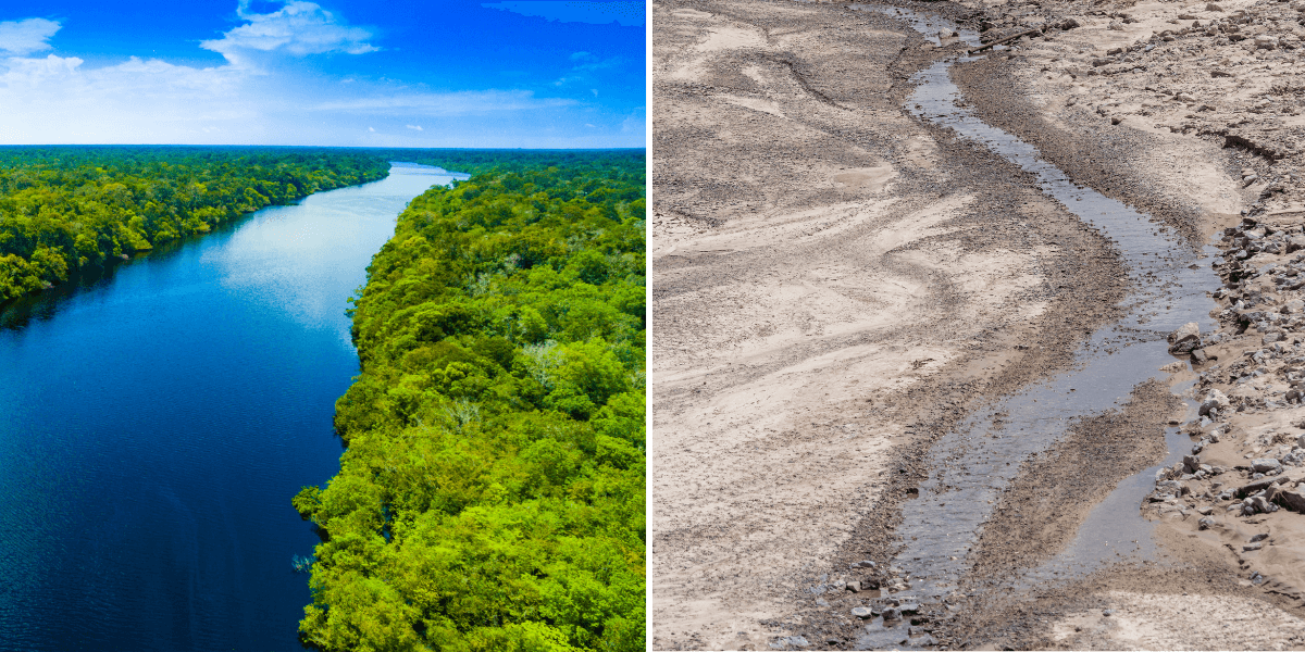 Torka i Amazonas