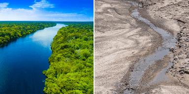 Torka i Amazonas