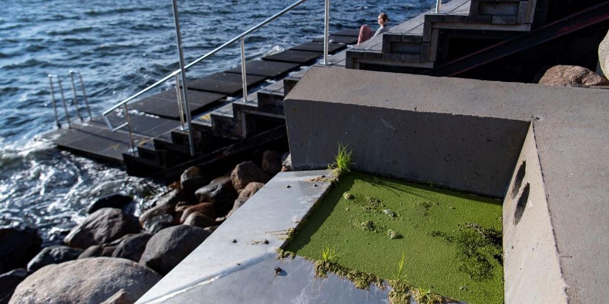 Stora mängder PFAS-kemikalier i dagvatten