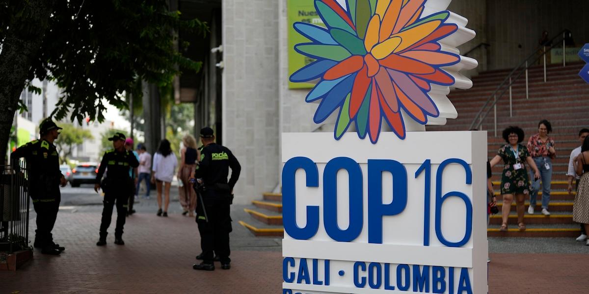 COP16