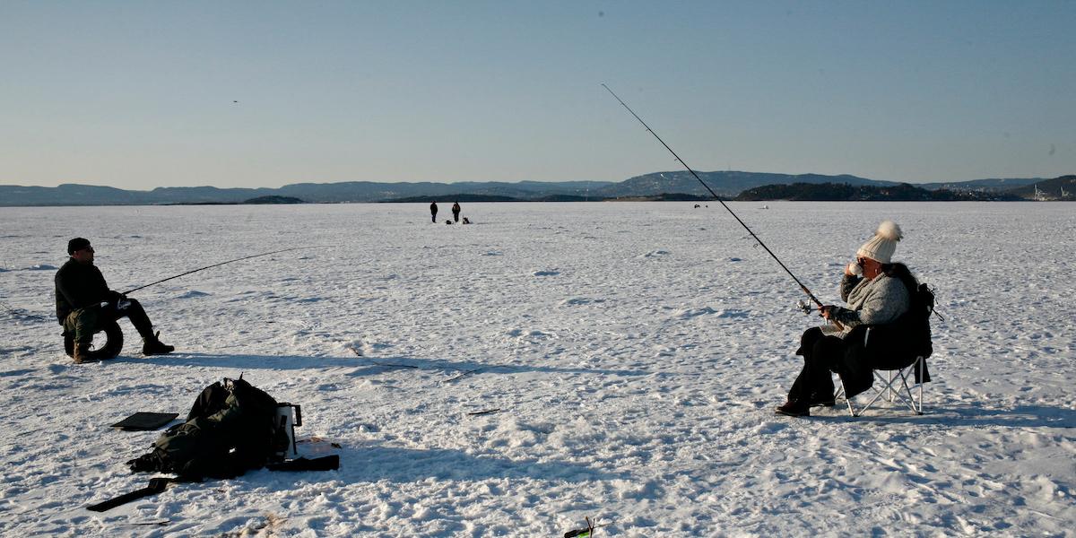 Sverige i vinter