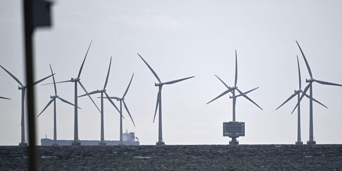 Inte ett anbud när Danmark vill bygga ny vindkraft