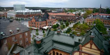 Företaget utan chef, schema och lönesamtal