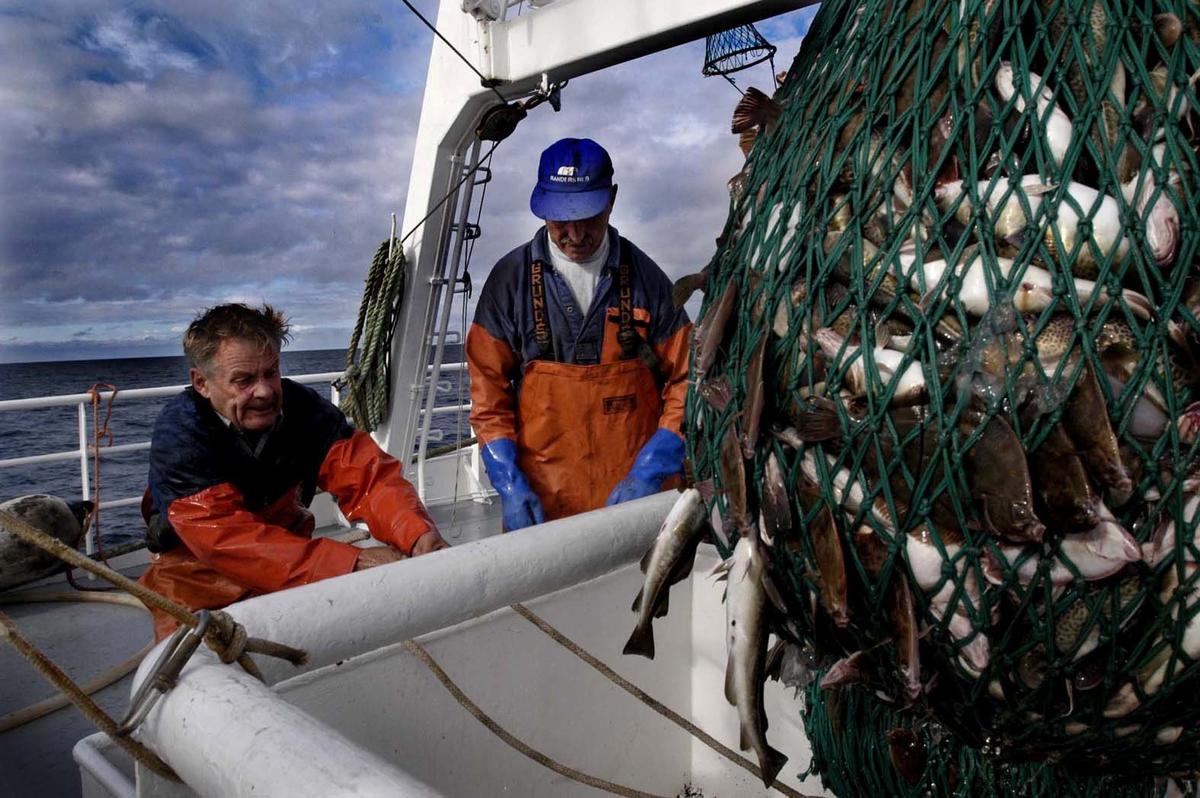 Ny unik fisk hittad i Östersjön