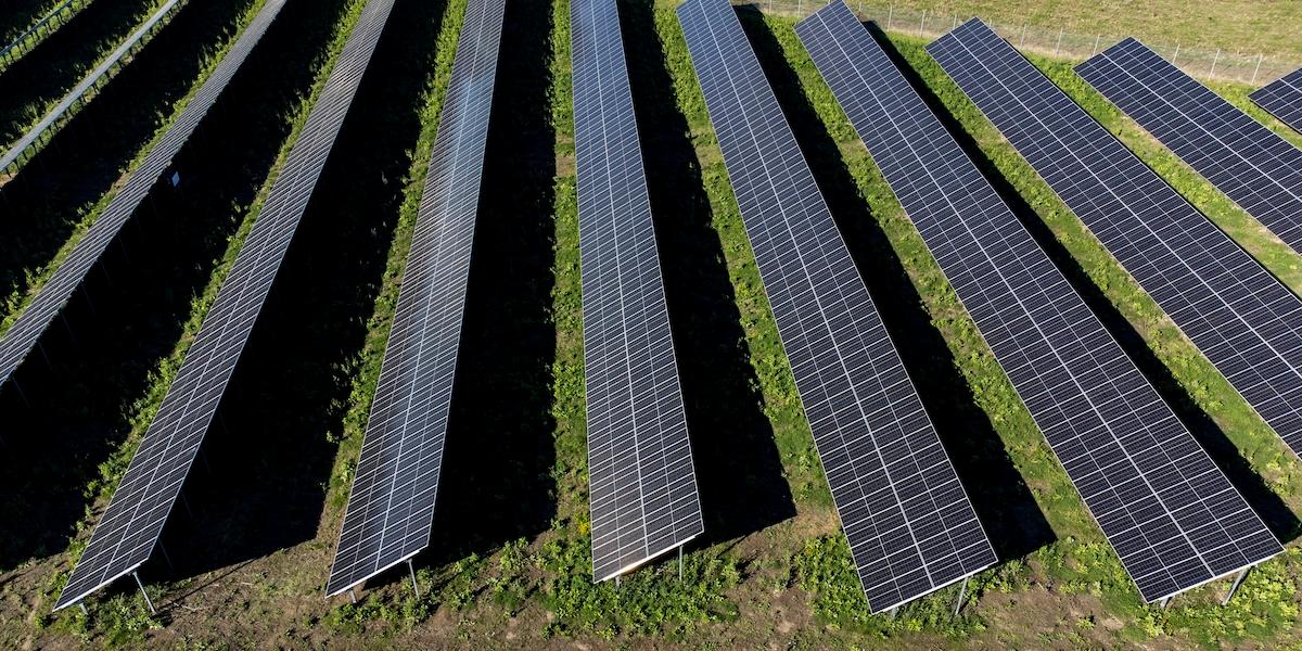 Skånes största solcellspark utanför Skurup. Mer solenergi står redo att leverera grön el, men väntar på byråkratiska beslut.