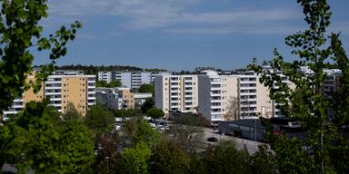 Det våras för rekordutbud på bomarknaden