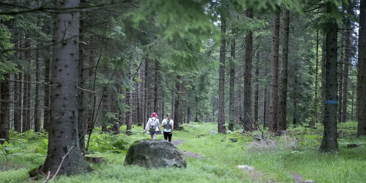 Gabriella blev ekonomiskt fri