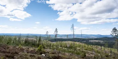 Stort guldfynd - nu ska provborrningar göras