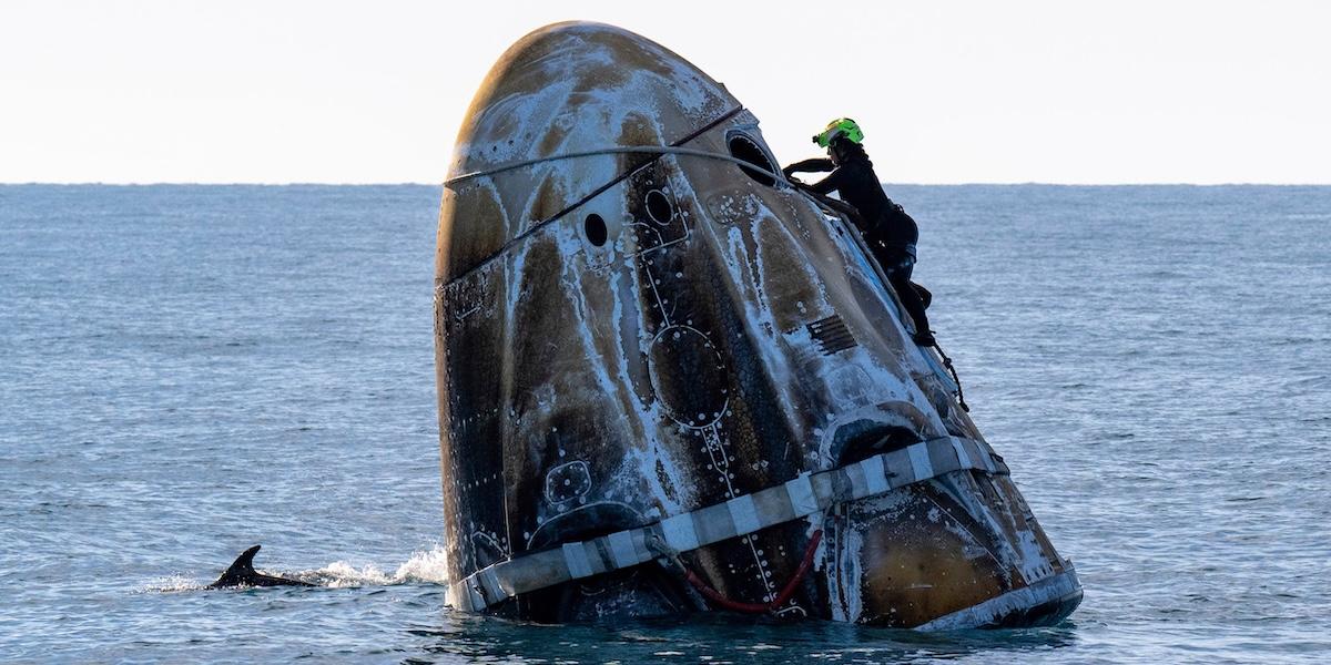 Astronauternas långa resa i rymden fick ett oväntat slut – vid landningen i havet simmade nyfikna delfiner runt kapseln. (Foto: Keegan Barber/NASA via AP)