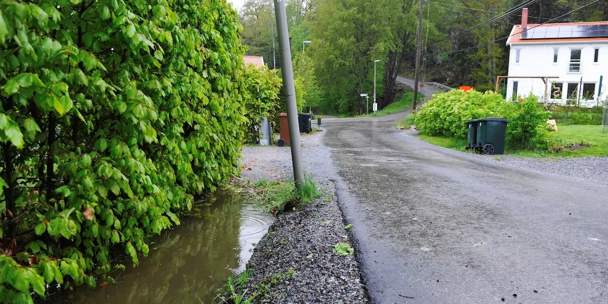 Parkeringskaos råder i villakvarteren i Huddinge, Stockholm – bilister bötfälls för att ställa två hjul på gruset, något som väckt stark kritik. (Foto: Tobias Röstlund/TT )